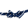 Navy Buckingham Stripe Pointed End Bow Tie