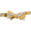 Yellow, Light Blue, and White Reppe Stripe Silk Bow Tie